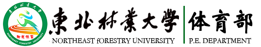 蓝鲸体育超级联赛